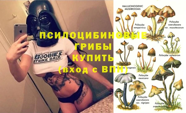 ГАЛЛЮЦИНОГЕННЫЕ ГРИБЫ Волосово