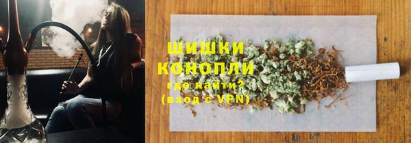 ГАЛЛЮЦИНОГЕННЫЕ ГРИБЫ Волосово