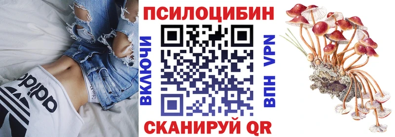 Псилоцибиновые грибы ЛСД  даркнет сайт  Раменское 